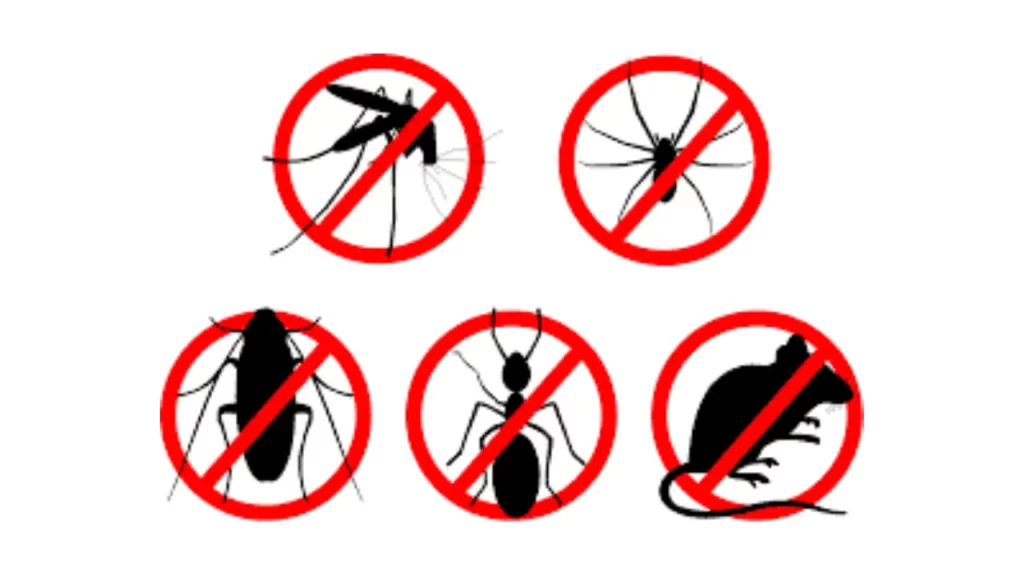 Pest Control Strategies 