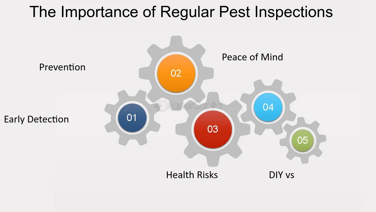 Why Regular Pest Inspections are Crucial in NYC