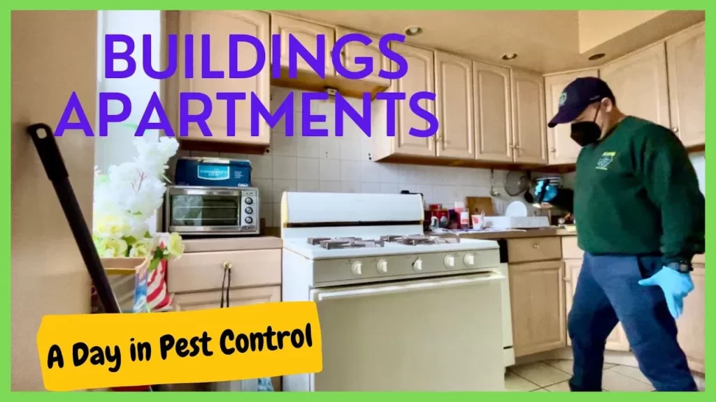 Pest Control Professionals 