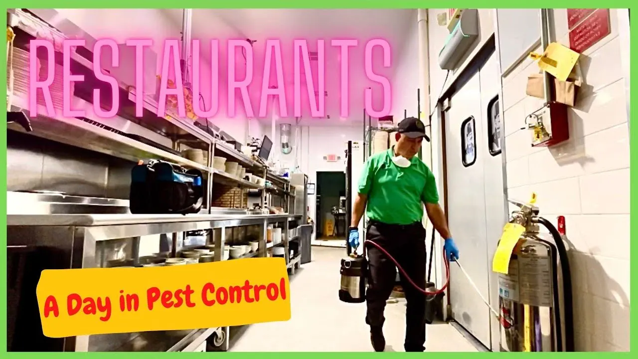 Pest Control Tips for Restaurants and Food Businesses in NYC