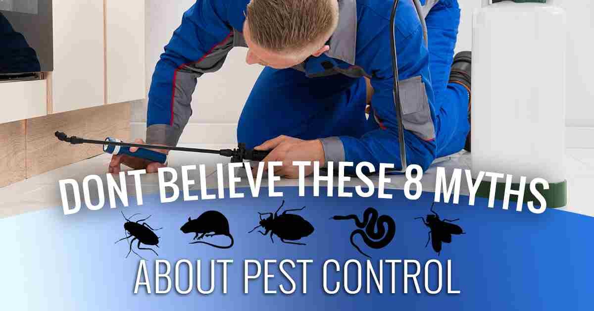 Common Myths About Commercial Pest Control in New York City