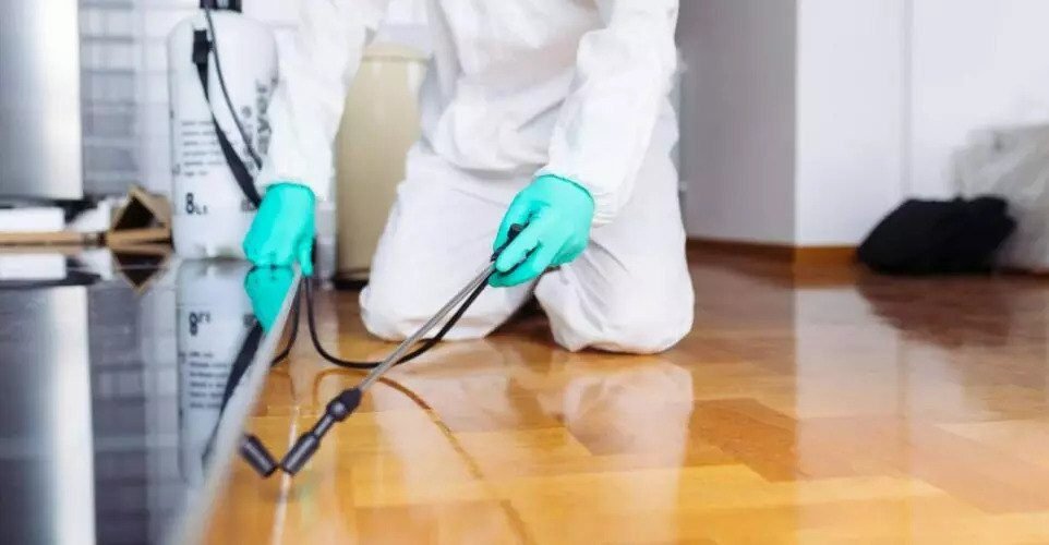 How to Choose the Right Pest Control Service in NYC: