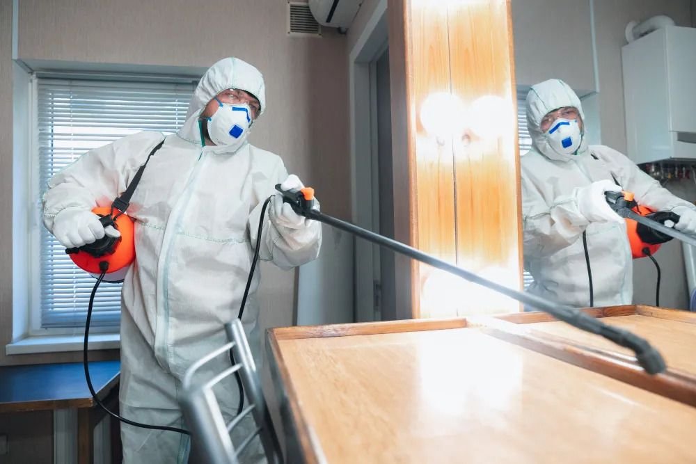 Pest-Proofing Your NYC Restaurant: A Step-by-Step Guide: