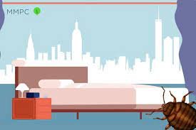How to Safely Dispose of Bed Bug-Infested Furniture in NYC