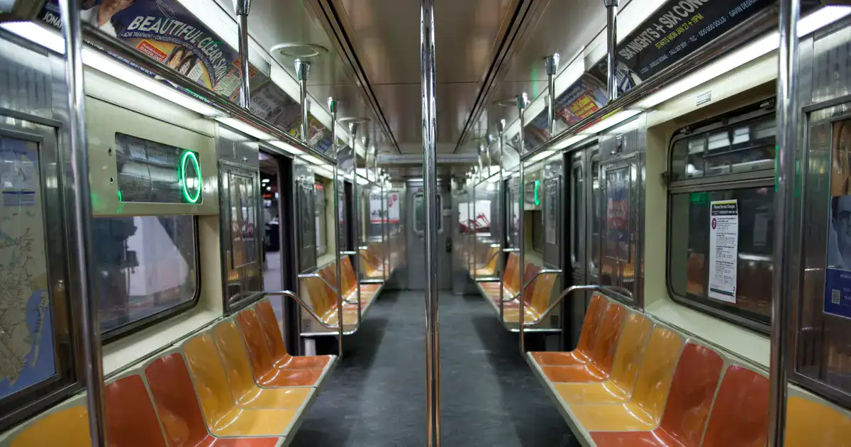 Bed Bug Control Measures for NYC’s Public Transportation System