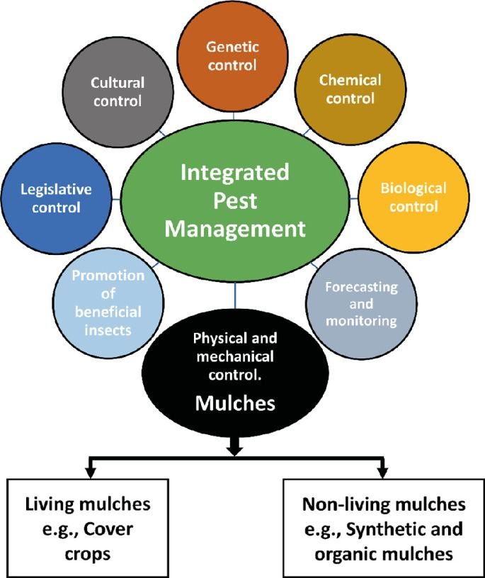Importance of integrated pest management